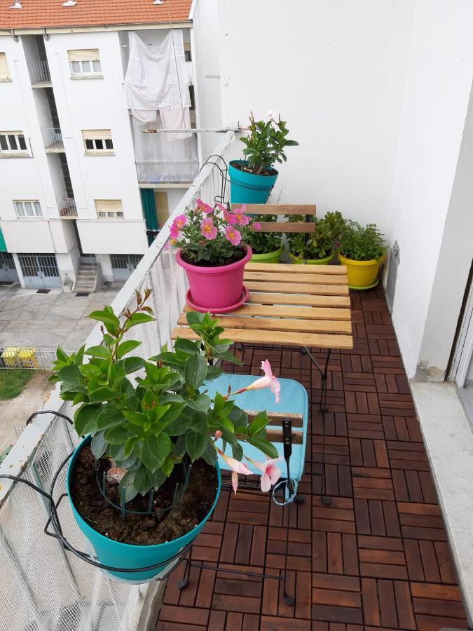 Apartament Casa Della Cattedrale Asti Zewnętrze zdjęcie